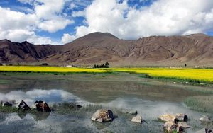 Preview wallpaper stones, lake, dandelions, mountains