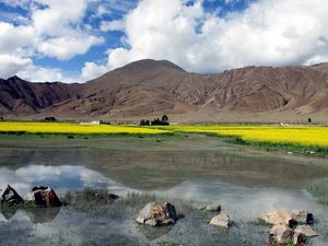 Preview wallpaper stones, lake, dandelions, mountains