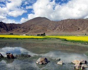 Preview wallpaper stones, lake, dandelions, mountains