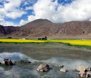 Preview wallpaper stones, lake, dandelions, mountains