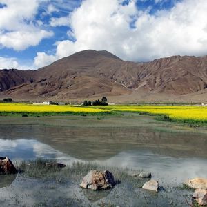 Preview wallpaper stones, lake, dandelions, mountains