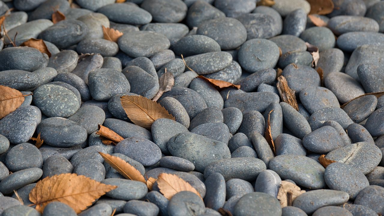 Wallpaper stones, leaves, dry, nature