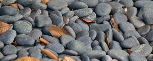 Preview wallpaper stones, leaves, dry, nature