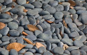 Preview wallpaper stones, leaves, dry, nature