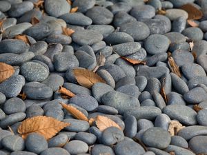 Preview wallpaper stones, leaves, dry, nature