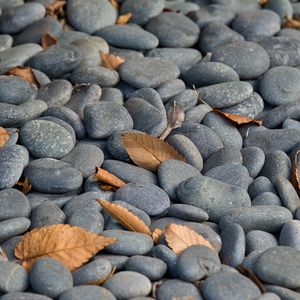 Preview wallpaper stones, leaves, dry, nature