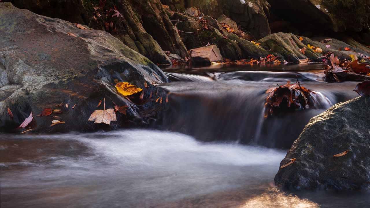 Wallpaper stones, leaves, stream, wet, nature