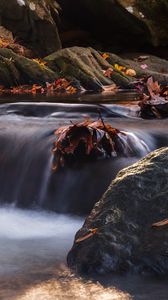 Preview wallpaper stones, leaves, stream, wet, nature