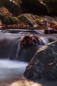 Preview wallpaper stones, leaves, stream, wet, nature