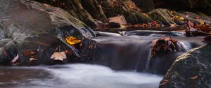 Preview wallpaper stones, leaves, stream, wet, nature