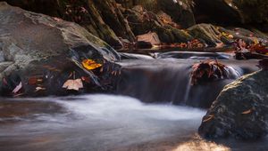 Preview wallpaper stones, leaves, stream, wet, nature