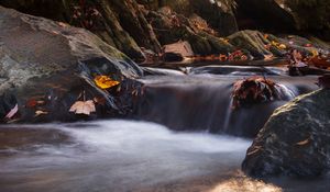 Preview wallpaper stones, leaves, stream, wet, nature