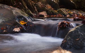 Preview wallpaper stones, leaves, stream, wet, nature