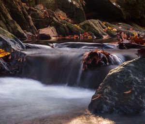 Preview wallpaper stones, leaves, stream, wet, nature