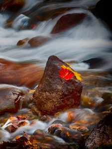 Preview wallpaper stones, leaves, water, stream, rocks