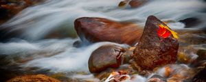 Preview wallpaper stones, leaves, water, stream, rocks