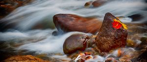 Preview wallpaper stones, leaves, water, stream, rocks