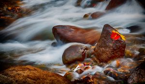 Preview wallpaper stones, leaves, water, stream, rocks