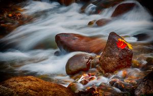 Preview wallpaper stones, leaves, water, stream, rocks