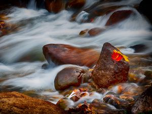 Preview wallpaper stones, leaves, water, stream, rocks