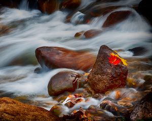 Preview wallpaper stones, leaves, water, stream, rocks