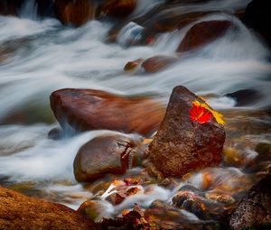 Preview wallpaper stones, leaves, water, stream, rocks