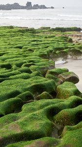 Preview wallpaper stones, moss, beach, water, sea