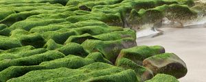 Preview wallpaper stones, moss, beach, water, sea