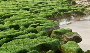 Preview wallpaper stones, moss, beach, water, sea