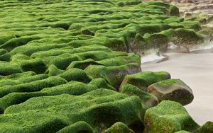 Preview wallpaper stones, moss, beach, water, sea