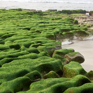 Preview wallpaper stones, moss, beach, water, sea