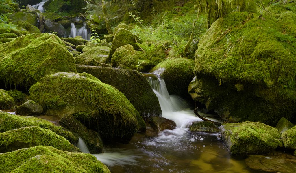 1024x600 Wallpaper stones, moss, greenery, waterfall, river, nature