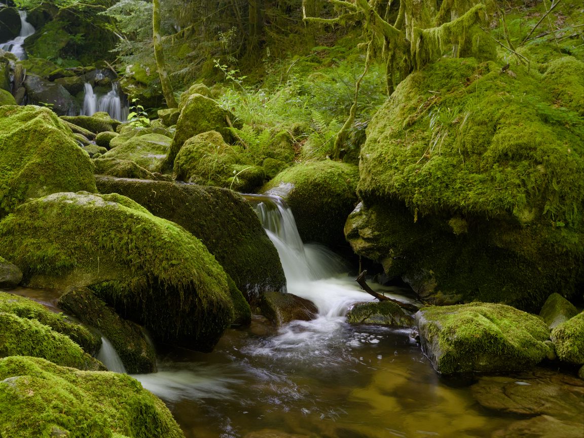1152x864 Wallpaper stones, moss, greenery, waterfall, river, nature