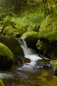 Preview wallpaper stones, moss, greenery, waterfall, river, nature