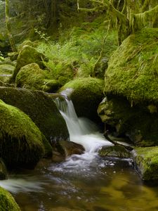 Preview wallpaper stones, moss, greenery, waterfall, river, nature