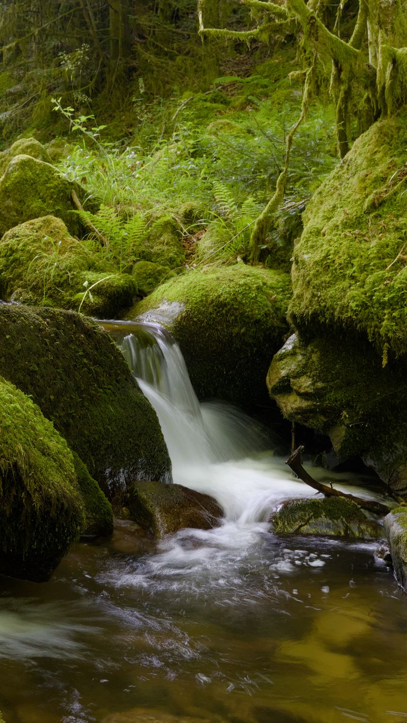 800x1420 Wallpaper stones, moss, greenery, waterfall, river, nature
