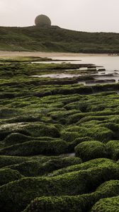 Preview wallpaper stones, moss, hill, nature