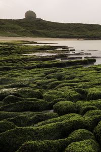 Preview wallpaper stones, moss, hill, nature