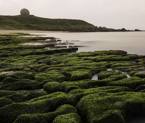 Preview wallpaper stones, moss, hill, nature