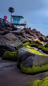 Preview wallpaper stones, moss, palm, tropics