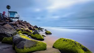 Preview wallpaper stones, moss, palm, tropics