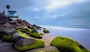 Preview wallpaper stones, moss, palm, tropics