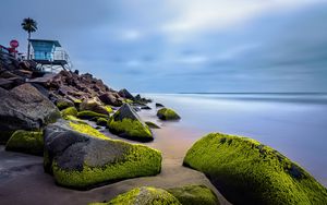 Preview wallpaper stones, moss, palm, tropics