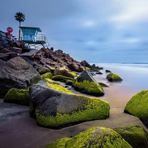 Preview wallpaper stones, moss, palm, tropics