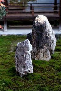 Preview wallpaper stones, moss, rock garden, japan