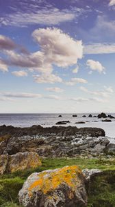 Preview wallpaper stones, moss, shore, sea, nature