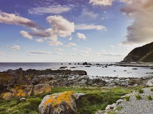 Preview wallpaper stones, moss, shore, sea, nature