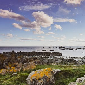 Preview wallpaper stones, moss, shore, sea, nature