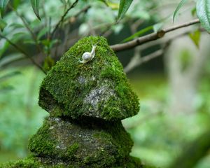 Preview wallpaper stones, moss, snails, grass, green