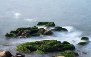 Preview wallpaper stones, moss, water, waves, nature